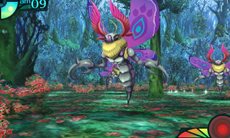 ꡼ No.018Υͥ / µIV εץץ쥤䡼εȤ볹ֺǲ̤Ƥγ륷פ䡤3ĤοȤħʤɤҲ