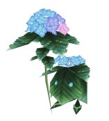 画像ギャラリー No.009のサムネイル画像 / 「イルーナ戦記オンライン」6月限定の季節イベント「狐の嫁入り」を実施