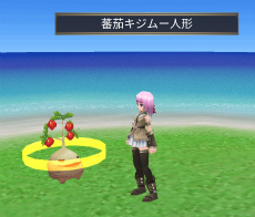 画像ギャラリー No.011のサムネイル画像 / 「イルーナ戦記オンライン」,トマトの祭典“トマティーナイベント”を開始