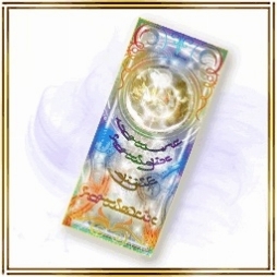 ꡼ No.004Υͥ / ֥롼ﵭס߷ץץ쥤䡼1000ͤˡǰڡ»