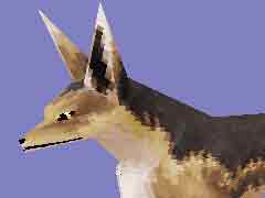 ֥롼ﵭ饤פǡȱʵפµܡɤϲ101105