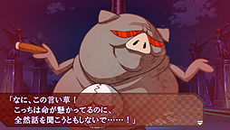 ꡼ No.014Υͥ / ֥Хϥ׺ǿ󡣰᤬ʤ餫ȽǤǼ̾б餷ƤADVϤäɤΤ褦ʥʤΤ