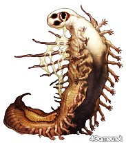 ꡼ No.038 | PRǣ ͭ̾ꥨ¿äiOSѥ륲֥ޥʡפо졣ܳʥե󥿥Ѥڤ˳ڤ⤦