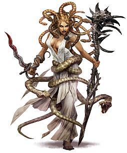 ꡼ No.004Υͥ / ֥ޥʡסTOP륹󥭥1̡ƤǤ22̤