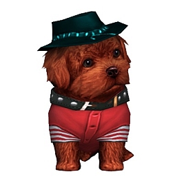 画像ギャラリー No.006のサムネイル画像 / ワンちゃん育成ゲーム「みんなのわんわん」がYahoo! Mobageで配信開始