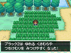 ポケットモンスターブラック2 ホワイト2 1人でも100人でも遊べる新機能 フェスミッション システムほか最新情報を一挙公開