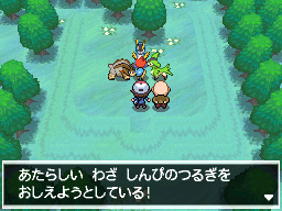 ポケットモンスターブラック2 ホワイト2 幻のポケモン ケルディオ