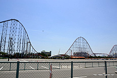 ꡼ No.003 | 721˥ץ󤹤ʥޥѡɤΡ֥ݥ󥢥ɥ٥㡼ספθͤҶڤܽΥݥ󥢥ȥ饯ϡʤܳ