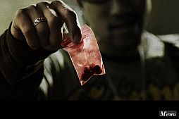 ꡼ No.003 | iOSɥΥ٥ִеפָ900ߤͲ