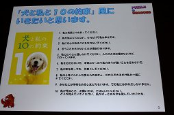 ꡼ No.039 | CEDEC 2012ϡ֥ѥɥ饴󥺡ΥݥȤϡֲǥӥ塼סץǥ塼θ͵ץ꤬ޤ줿طʤȤ