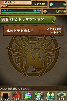 ꡼ No.004Υͥ / ֥ѥɥ饴󥺡491200ɤˡǰڡ412˥