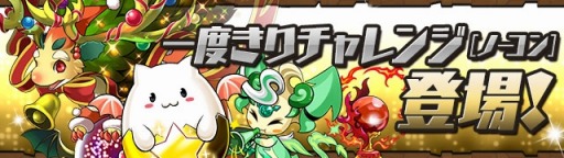 ���������꡼ No.005�Υ���ͥ������ / �֥ѥ��ɥ�ס�8��24���ˡ֥�饳�ե����200����ã����ǰ���٥�ȡפ��������ȡ�8��26��21��00�ˤϿ����ץ��󥸥��֥ǥ����ᥨ������ޥ��ʹ��ס��פ��о�