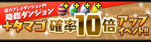 ꡼ No.004Υͥ / ֥ѥɥס129߷3900DLãǰ٥Ȥ򳫺šåɥեˤϿ󥹥֥եפо