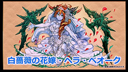 ���������꡼ No.020�Υ���ͥ������ / �֥ѥ��ɥ�פο����ʥ�������ϡ֤�����˷����ס����塼��֥饤�ɥ�����ʤɿ������������줿���ơ��������ͤ��ݡ���