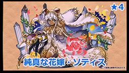 ���������꡼ No.024�Υ���ͥ������ / �֥ѥ��ɥ�פο����ʥ�������ϡ֤�����˷����ס����塼��֥饤�ɥ�����ʤɿ������������줿���ơ��������ͤ��ݡ���