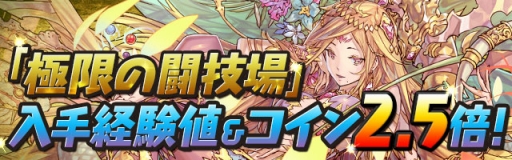 ���������꡼ No.005�Υ���ͥ������ / �֥ѥ��ɥ�׹���Twitter�Υե������250�����ˤ�ǰ�������٥�Ȥ�»�