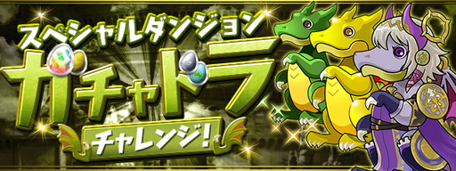 ꡼ No.005Υͥ / ֥ѥɥ饴󥺡פǡζΡζΡɥ٥Ȥ