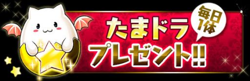 ���������꡼ No.004�Υ���ͥ������ / �֥ѥ��ɥ�פǹ����߷�4800��DLã����ǰ���������ڡ��󤬳���