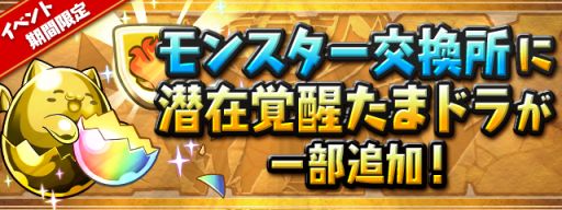 ���������꡼ No.009�Υ���ͥ������ / �֥ѥ��ɥ�פǹ����߷�4800��DLã����ǰ���������ڡ��󤬳���