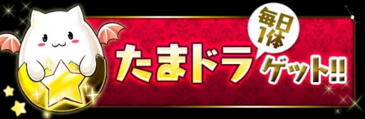 ꡼ No.003Υͥ / ֥ѥɥ饴󥺡פǽΥڥ륤٥ȡ֥ ڥ!!פ109鳫