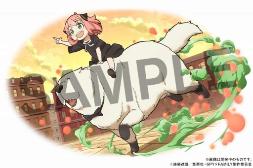 ꡼ No.002Υͥ / ֥ѥɥ饴󥺡סߥ˥SPYFAMILYץܤ626˳ϡ֥ɡ˥פʤɤߤΥ饯о