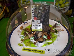 ���������꡼ No.012�Υ���ͥ������ / ���ܤ衤���줬�ե����奢�������֥������ե����ƥ��Х�2013���ߡϡץ�ݡ��Ȥ��Ϥ����ޤ�