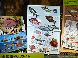 ���������꡼ No.014�Υ���ͥ������ / ���ܤ衤���줬�ե����奢�������֥������ե����ƥ��Х�2013���ߡϡץ�ݡ��Ȥ��Ϥ����ޤ�