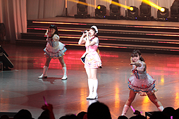 #043Υͥ/֥ɥޥ ǥ饬륺פΥ饤֥٥ȡTHE IDOLM@STER CINDERELLA GIRLS 1stLIVE WONDERFUL M@GIC!!פݡ