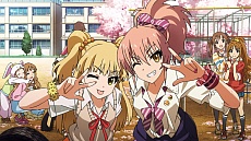 #007Υͥ/THE IDOLM@STER CINDERELLA MASTER We're the friends! CDȯ䵭ǰ٥ȡפݡȡեȥ饤֤ϿBlu-ray䡤ɥ饤֤ξʤɤ餫