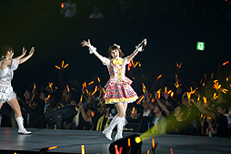 ���������꡼ No.113�Υ���ͥ������ / �֥����ɥ�ޥ����� ����ǥ�饬���륺��3��ǯ��ǰ�饤�֡���THE IDOLM@STER CINDERELLA GIRLS 2ndLIVE PARTY M@GIC!!�פ��ݡ��ȡ�¿�̤ʸ��������ä���ˡ�Υѡ��ƥ���