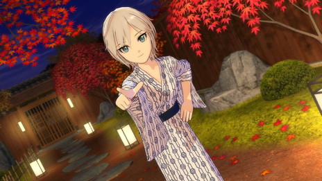 ꡼ No.098 | ֥ɥޥ ǥ饬륺3rd饤֡˥᥷꡼δưե쥤󤷤ݡȡοҲ