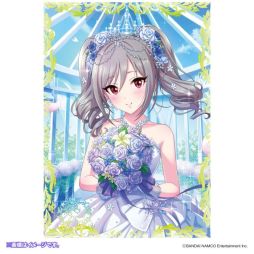 ���������꡼ No.008�Υ���ͥ������ / �֥����ޥ� ����ǥ�饬���륺�׿������Ҥ���������ǰ�������å����о졣ͽ����ճ���