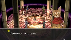 ꡼ No.009 | ֥ڥ륽2 ȳפμץ饯2ͤȡɲä륹ȡ꡼ʤɤξ󤬸