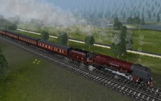 ꡼ No.008Υͥ / ֥ȥ쥤 ߥ졼 12 ܸǡפ427ȯ䡣Ŵƻˤμξ餻褦