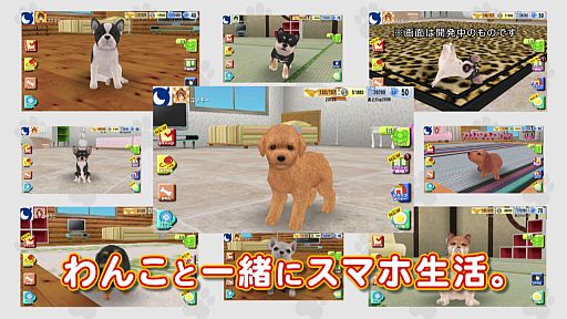 ꡼ No.002Υͥ / ֤󤳤ΤץƥCM5Ĥθȥ顼ʤɤҲ𤹤ư