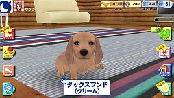 ꡼ No.004Υͥ / ֤󤳤ΤץƥCM5Ĥθȥ顼ʤɤҲ𤹤ư