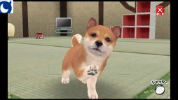 画像ギャラリー No.002のサムネイル画像 / 「わんこのじかん」,公式サイトを更新。プレイ動画の配信もスタート