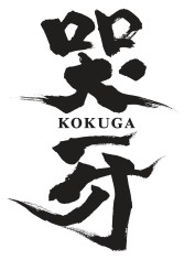 ꡼ No.003 | աSTGפο꡼PlayStation Vita˳ȯ档ȯ2013ǯͽꡣ3DSӭ KOKUGAפPV1Ƥ