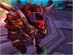 ꡼ No.006 | ּͷסCBT3221700˥ȡʤѤ