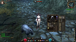 画像ギャラリー No.032のサムネイル画像 / オーソドックスなMMORPGながら,世界観や遊びやすさは魅力的。「疾風西遊記」クローズドβテストのインプレッションをお届けしよう