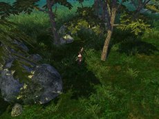 ꡼ No.003Υͥ / ּͷפΥץ¥ƥȤ4121500˥ȡüԸꥭڡⳫ