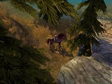 ꡼ No.004Υͥ / ּͷפΥץ¥ƥȤ4121500˥ȡüԸꥭڡⳫ