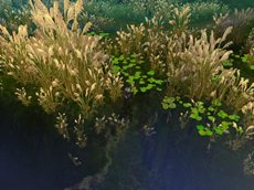 ꡼ No.006Υͥ / ּͷפΥץ¥ƥȤ4121500˥ȡüԸꥭڡⳫ