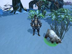 ꡼ No.007Υͥ / ּͷץץ쥤θ򰮤륲ॷƥסͧåƥסֵפξܺپ󤬸