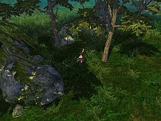 ꡼ No.005Υͥ / ּͷפӥ4181700Ϥˡ߼»Υץ¥ƥȤ4181030