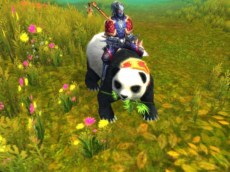 ꡼ No.015Υͥ / ּͷ׽ΥåץǡȤ»ܡ٥륭åפΰ夲絬ϥֺͺפ