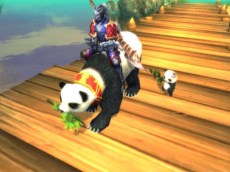 ꡼ No.016Υͥ / ּͷ׽ΥåץǡȤ»ܡ٥륭åפΰ夲絬ϥֺͺפ