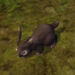 ꡼ No.003Υͥ / ּͷפ˥󥴥饦˹Ҥʤɤܥå