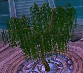 ꡼ No.004Υͥ / ּͷױǤФΥ졼ɤޤ֤ߤפ