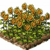 画像集#013のサムネイル/「鬼武者Soul」,特定進捗度とクエストコンプリートの報酬武将が幻魔陣営に